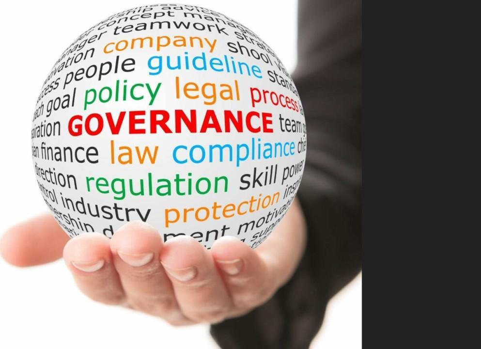 The Fresh Eye of Corporate Governance - Cover Image